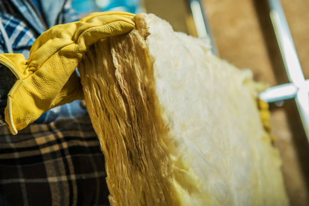 Best Insulation Contractors for Homes  in Mont Clare, PA