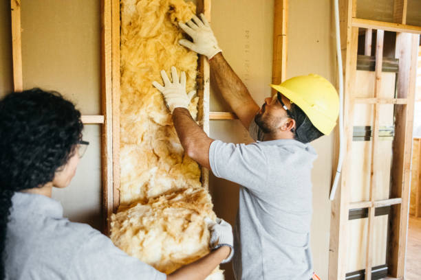 Best Attic Insulation Installation  in Mont Clare, PA